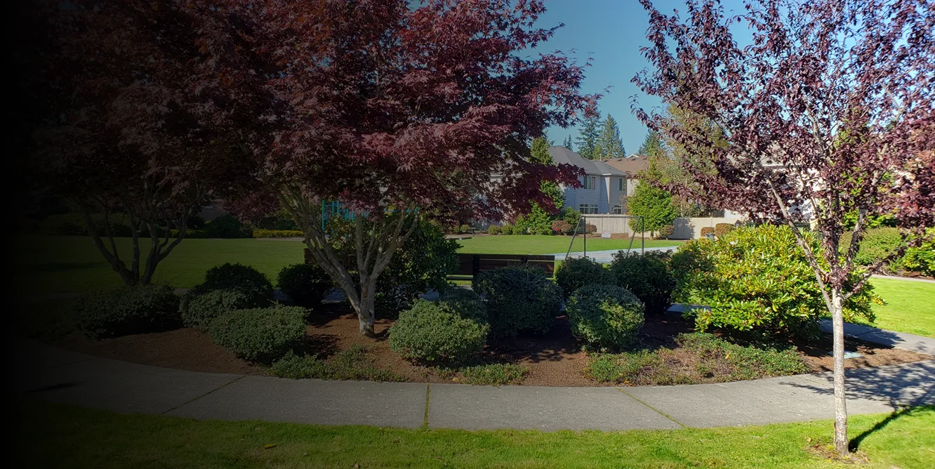 real landscaping Hero