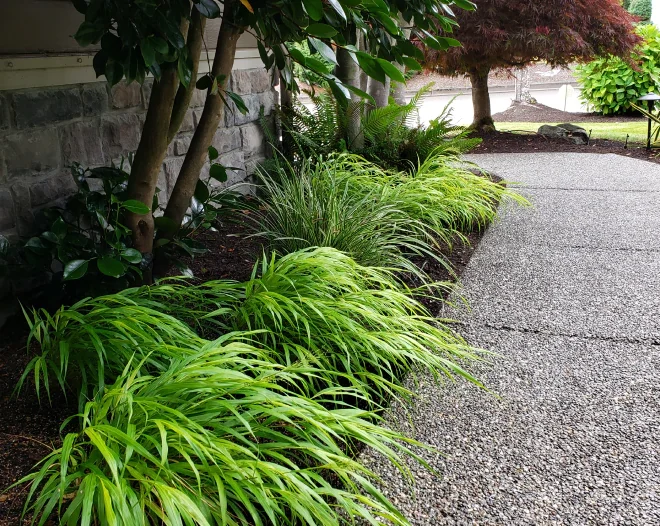 real landscaping homepage