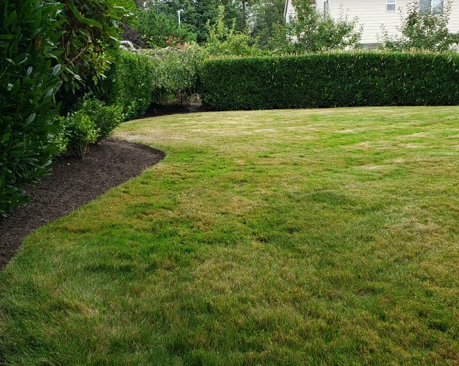 real landscaping homepage