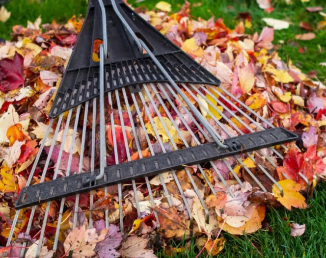 Image Content Frame Medium 1 (1)